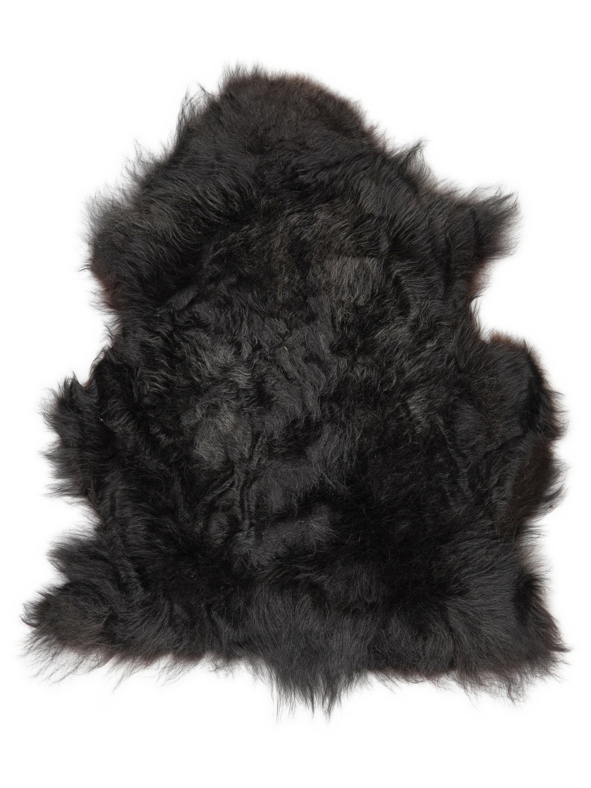 Icelandic multicolour sheepskin rug of about 120 × 85 cm, seen from above: the exact sheepskin you receive