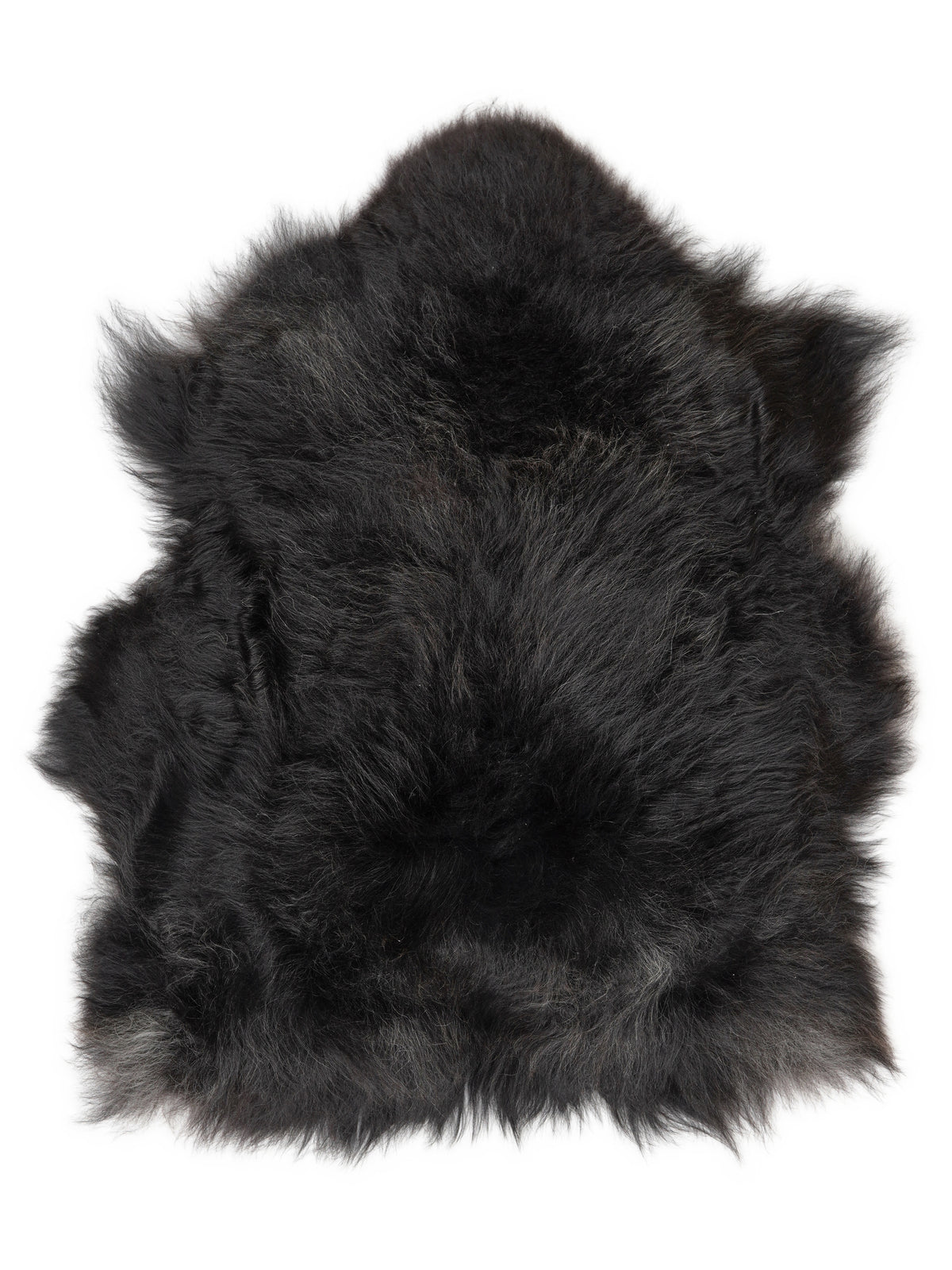 Icelandic multicolour sheepskin rug of about 110 × 90 cm, seen from above: the exact sheepskin you receive