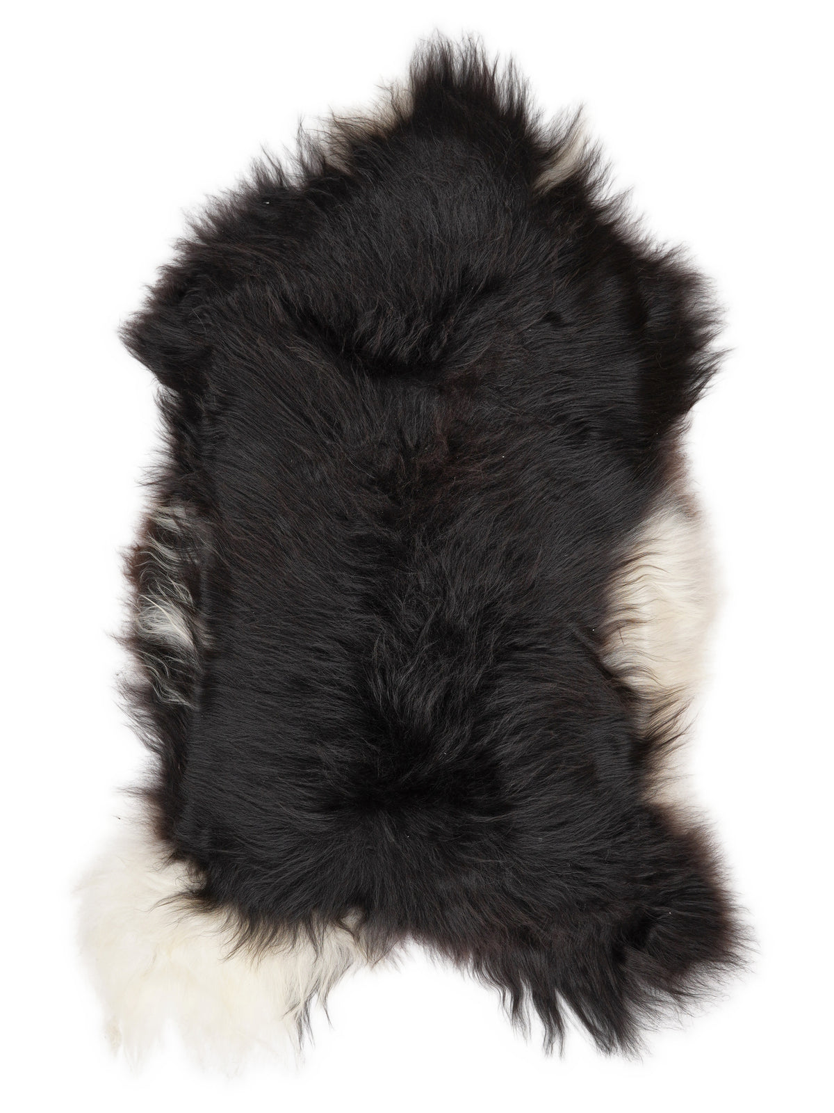Icelandic multicolour sheepskin rug of about 120 × 70 cm, seen from above: the exact sheepskin you receive