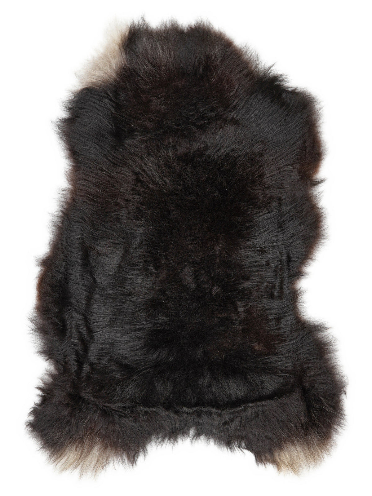 Icelandic multicolour sheepskin rug of about 120 × 65 cm, seen from above: the exact sheepskin you receive
