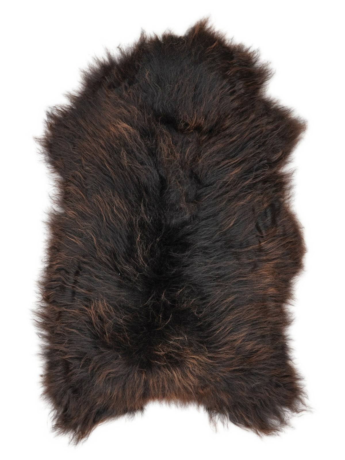 Icelandic multicolour sheepskin rug of about 120 × 70 cm, seen from above: the exact sheepskin you receive