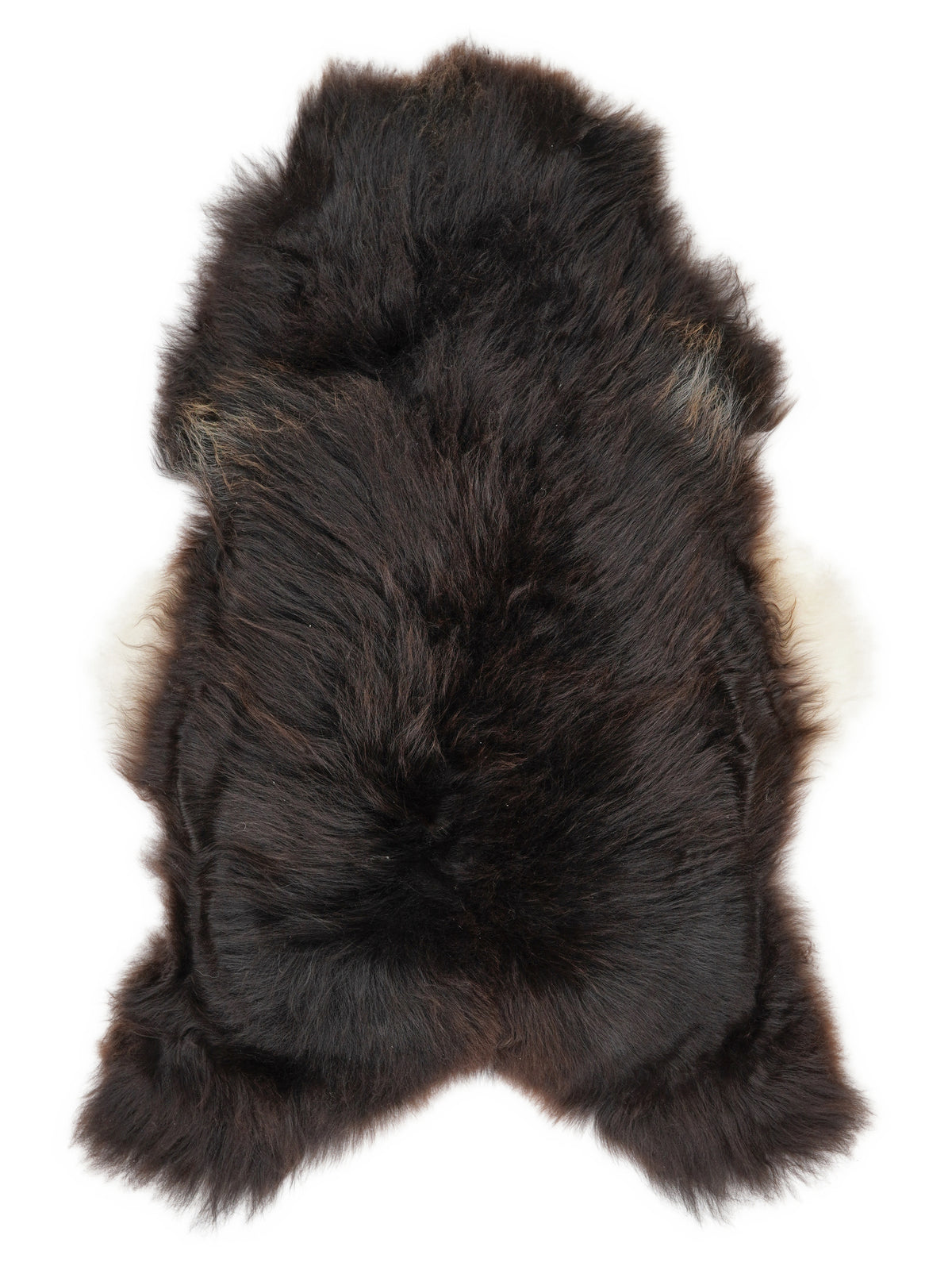 Icelandic multicolour sheepskin rug of about 120 × 75 cm, seen from above: the exact sheepskin you receive