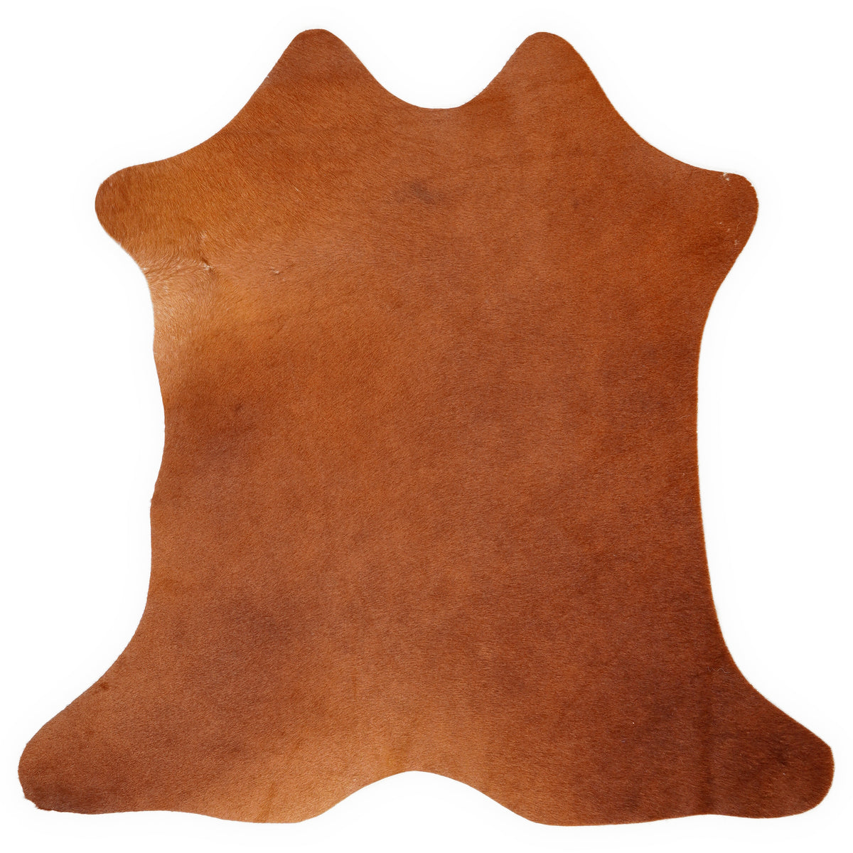 Mini cowhide of about 70 × 70 cm, seen from above: the exact hide you receive