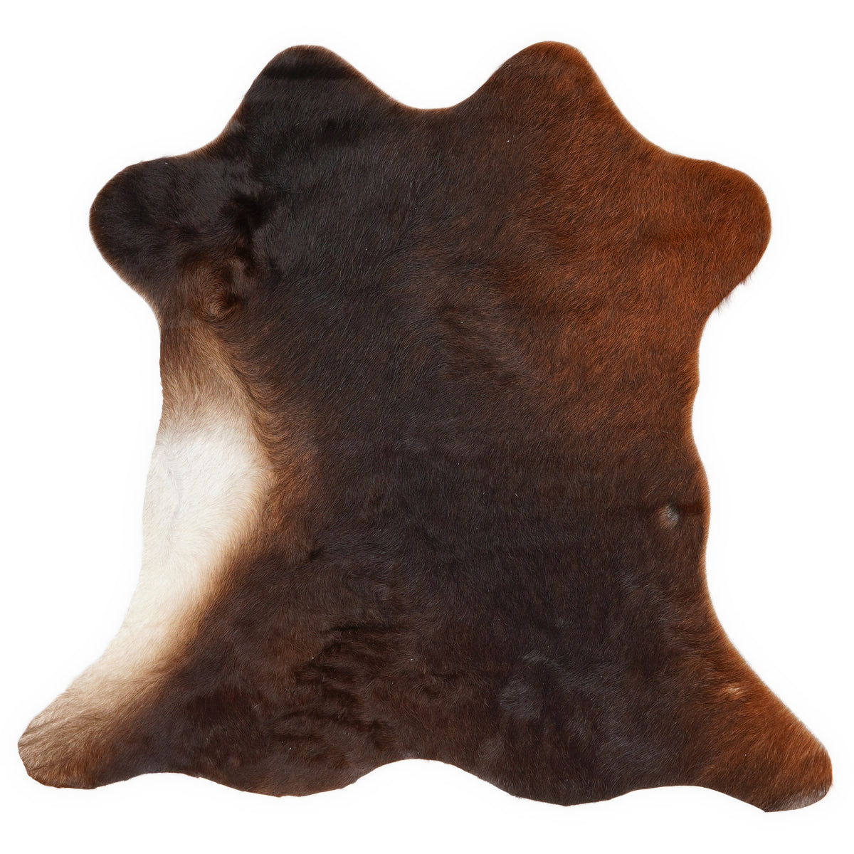 Mini cowhide of about 70 × 70 cm, seen from above: the exact hide you receive
