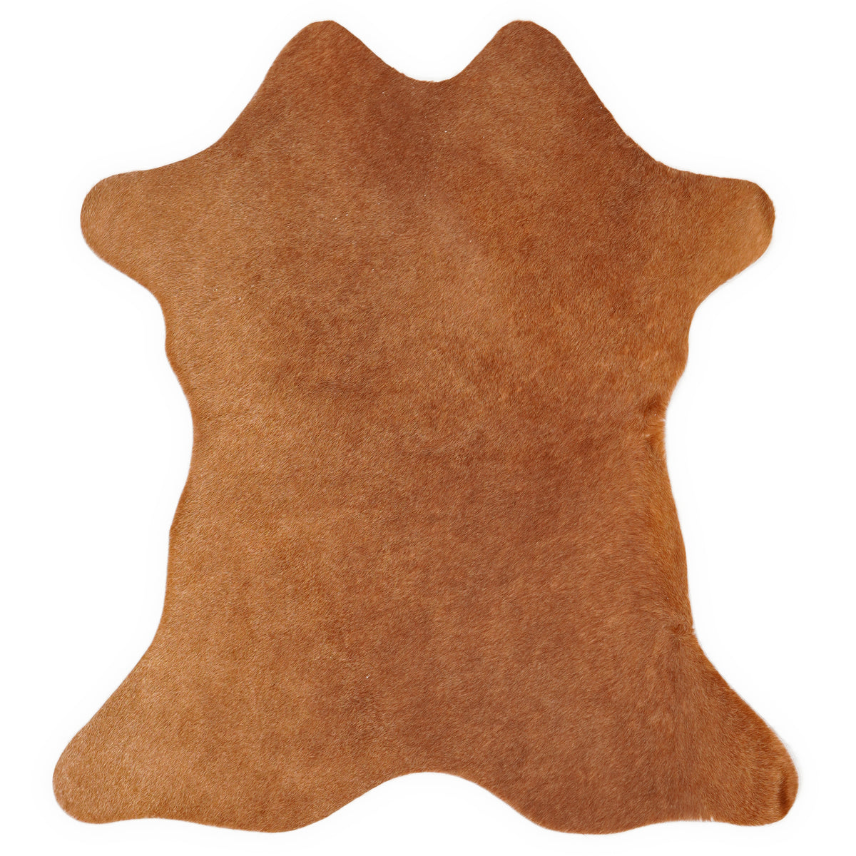 Mini cowhide of about 70 × 70 cm, seen from above: the exact hide you receive