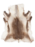 Reindeer hide of about 120 × 110 cm, seen from above: the exact hide you receive