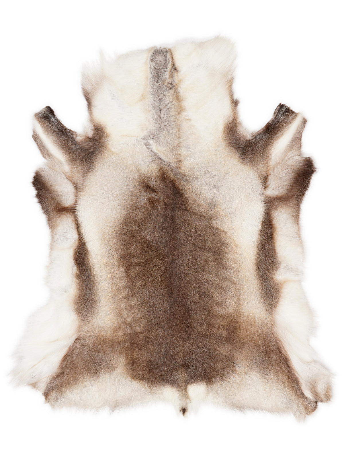 Reindeer hide of about 120 × 110 cm, seen from above: the exact hide you receive