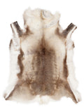 Reindeer hide of about 120 × 100 cm, seen from above: the exact hide you receive