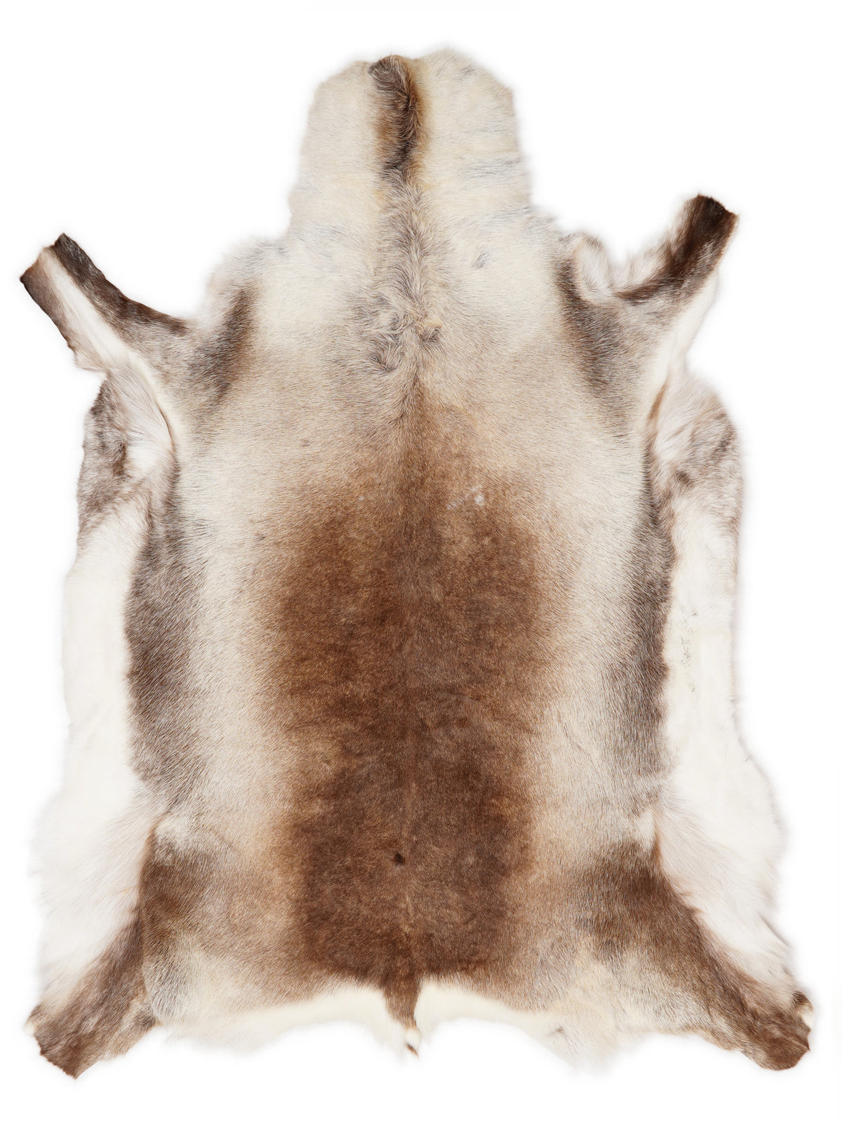 Reindeer hide of about 140 × 120 cm, seen from above: the exact hide you receive