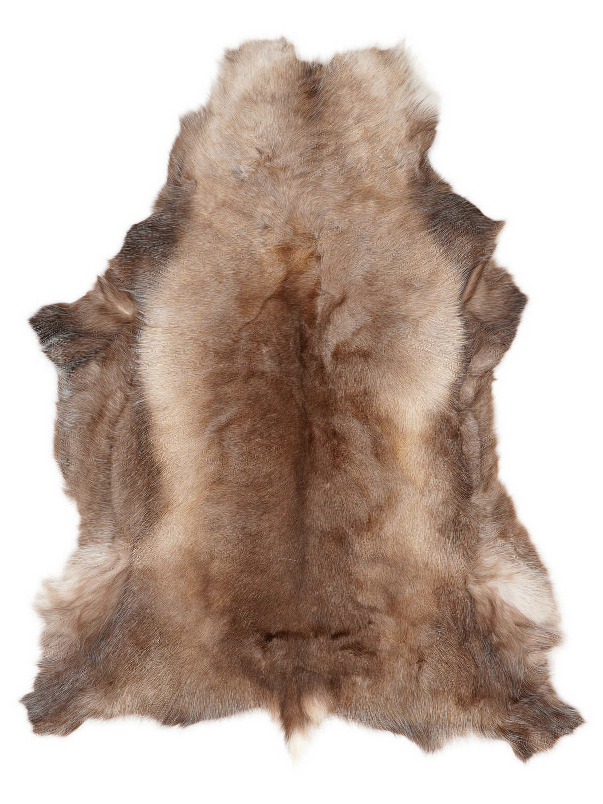 Reindeer hide of about 130 × 110 cm, seen from above: the exact hide you receive