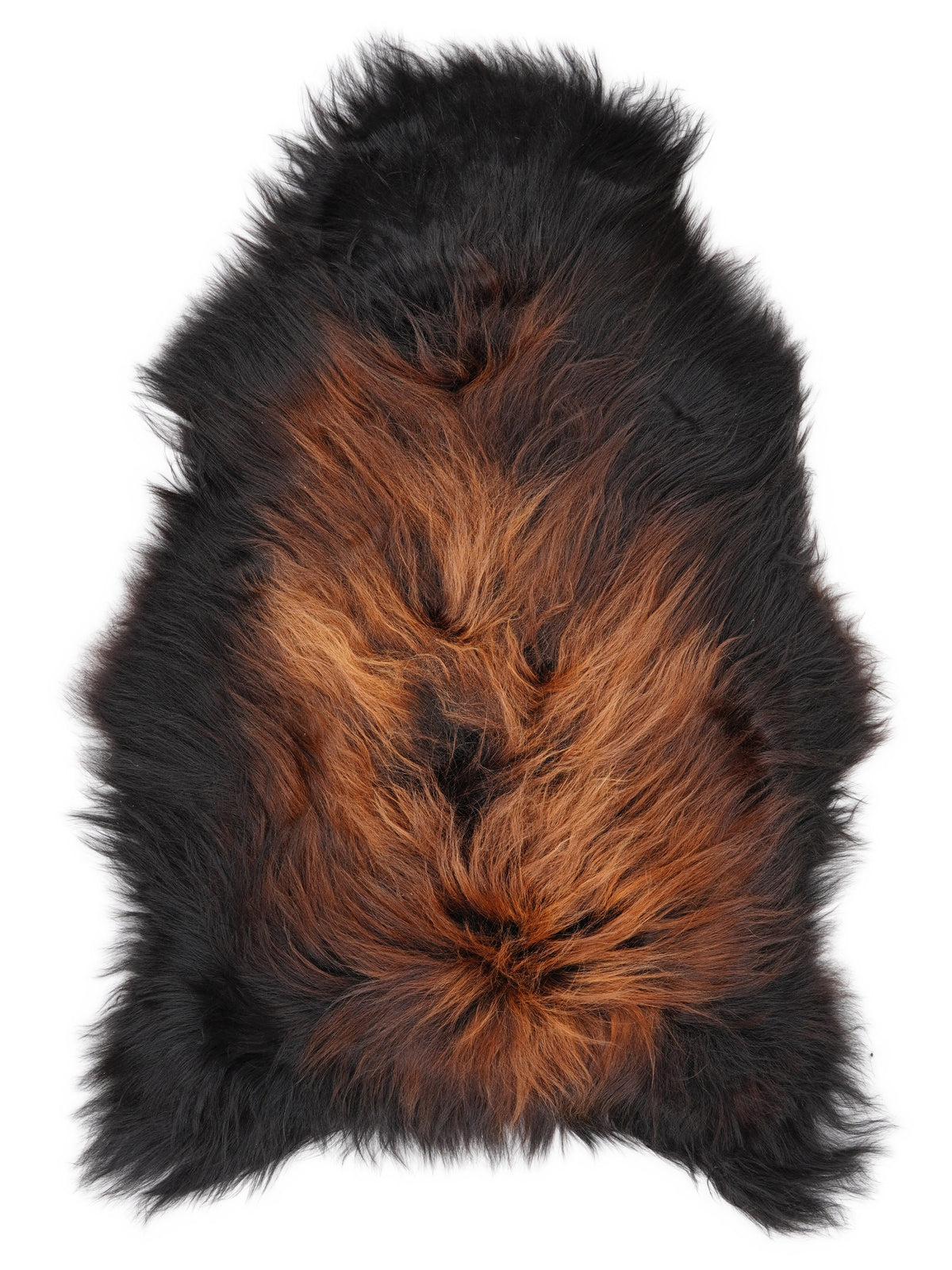 Icelandic multicolour sheepskin rug of about 120 × 75 cm, seen from above: the exact sheepskin you receive