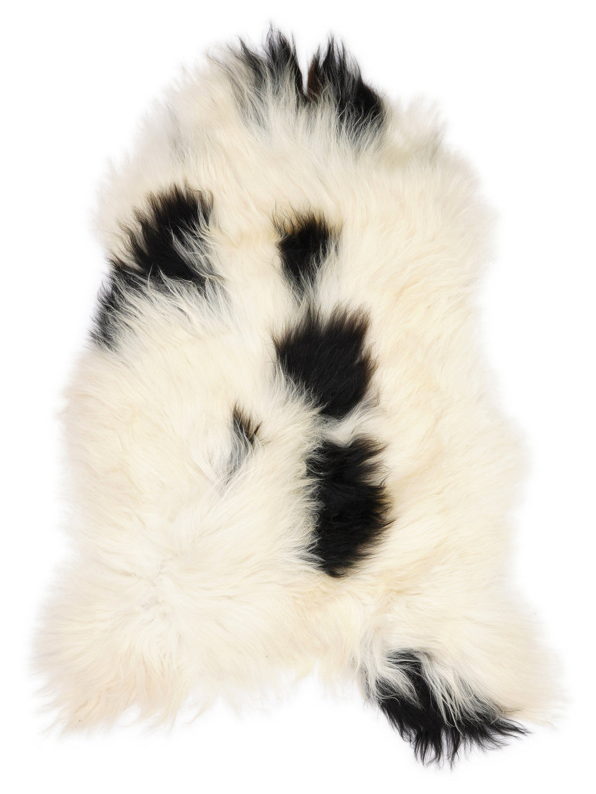 Icelandic multicolour sheepskin rug of about 130 × 75 cm, seen from above: the exact sheepskin you receive