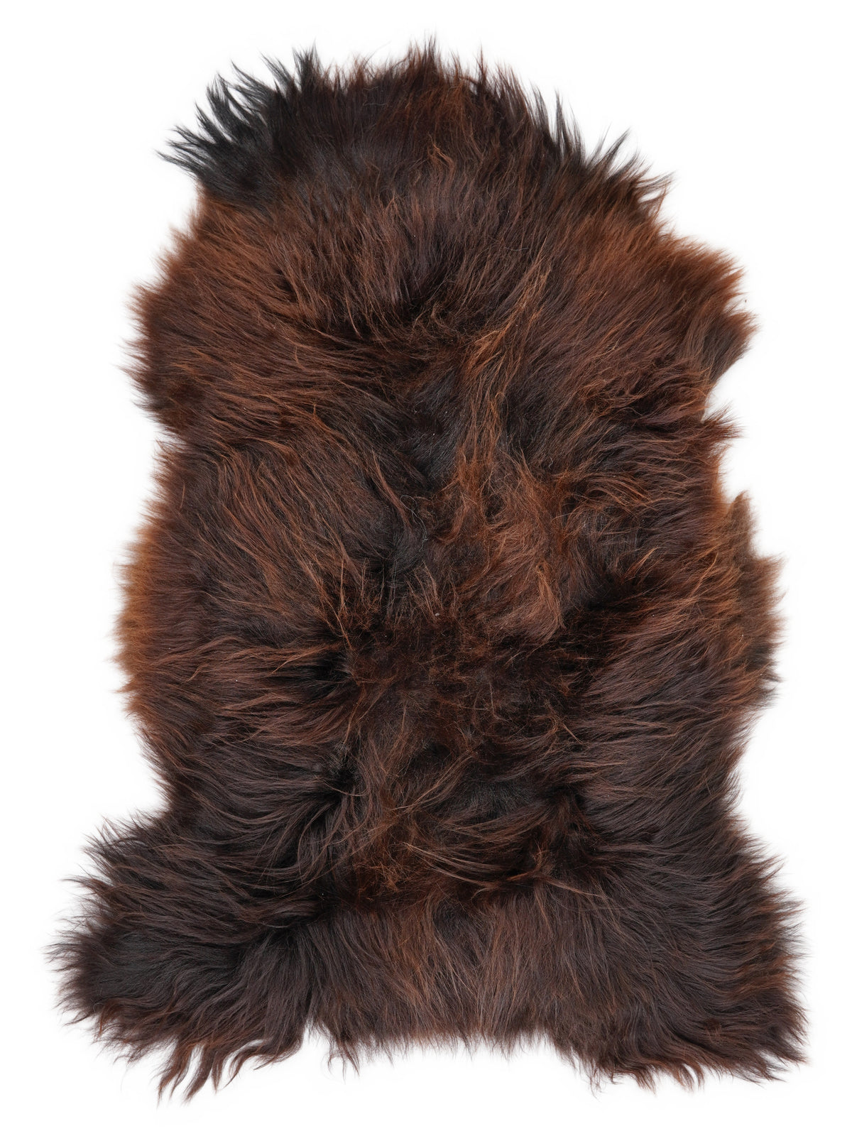 Icelandic multicolour sheepskin rug of about 120 × 70 cm, seen from above: the exact sheepskin you receive