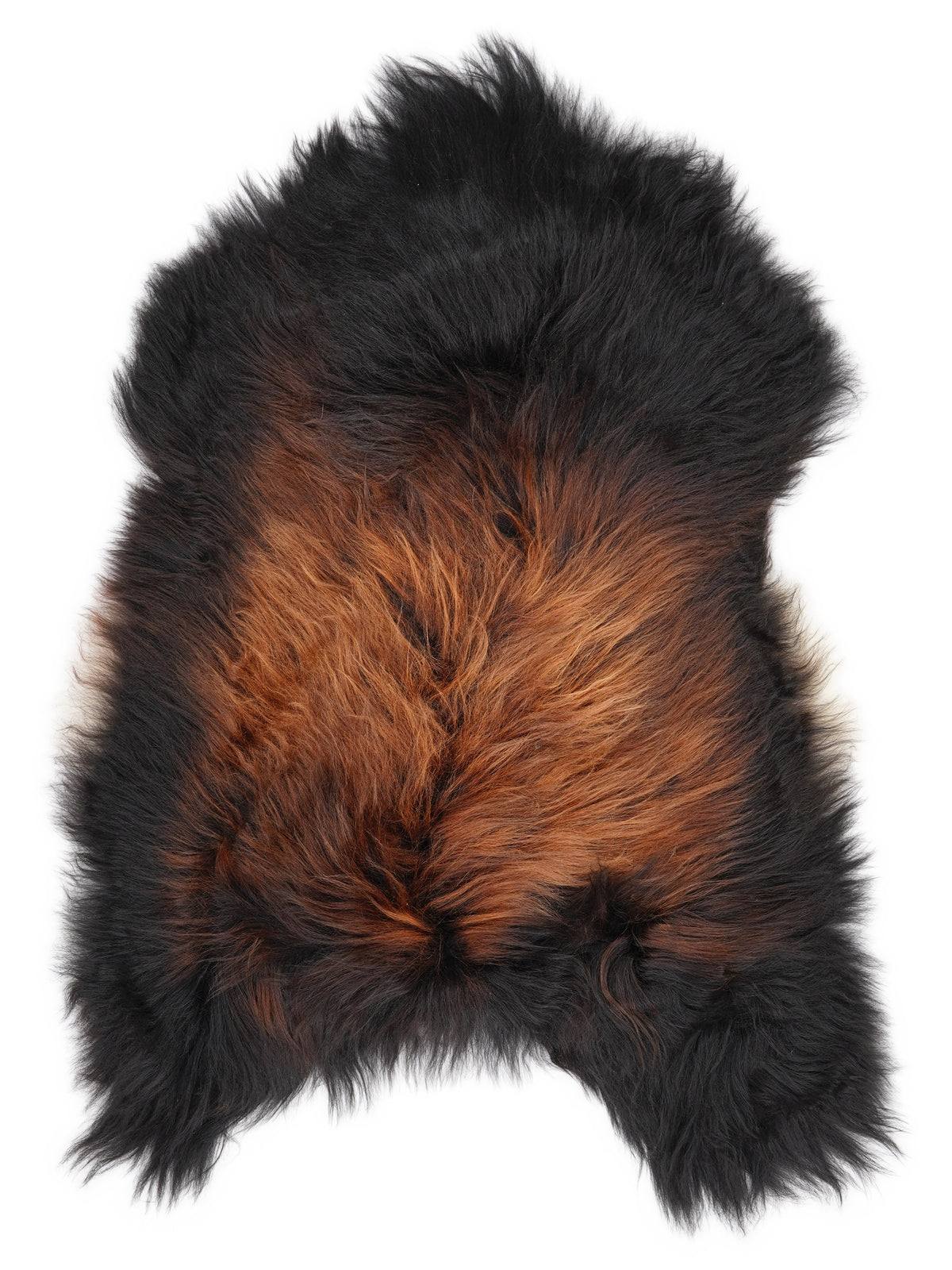 Icelandic multicolour sheepskin rug of about 120 × 80 cm, seen from above: the exact sheepskin you receive