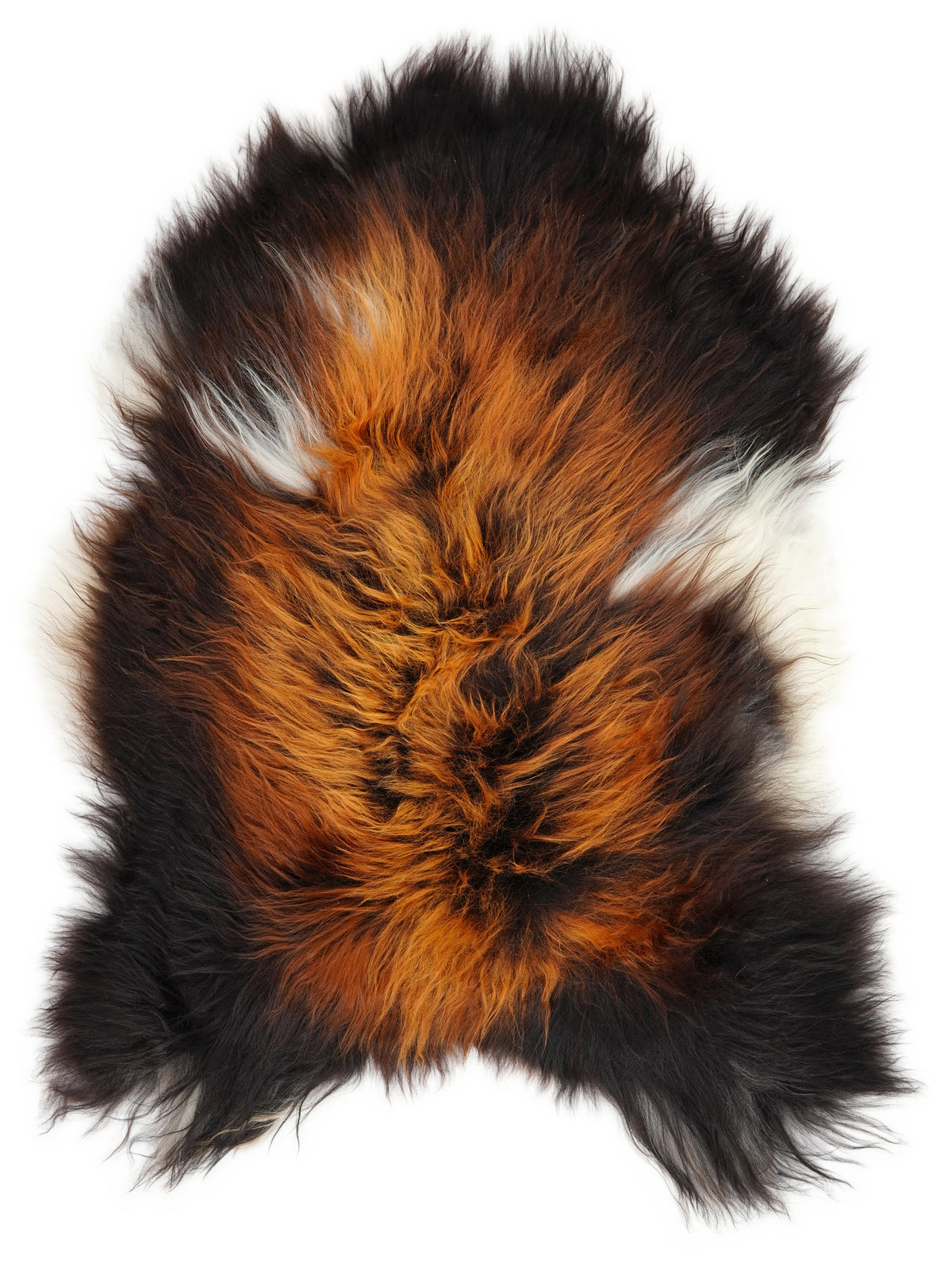 Icelandic multicolour sheepskin rug of about 120 × 85 cm, seen from above: the exact sheepskin you receive