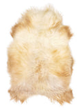Icelandic multicolour sheepskin rug of about 110 × 70 cm, seen from above: the exact sheepskin you receive