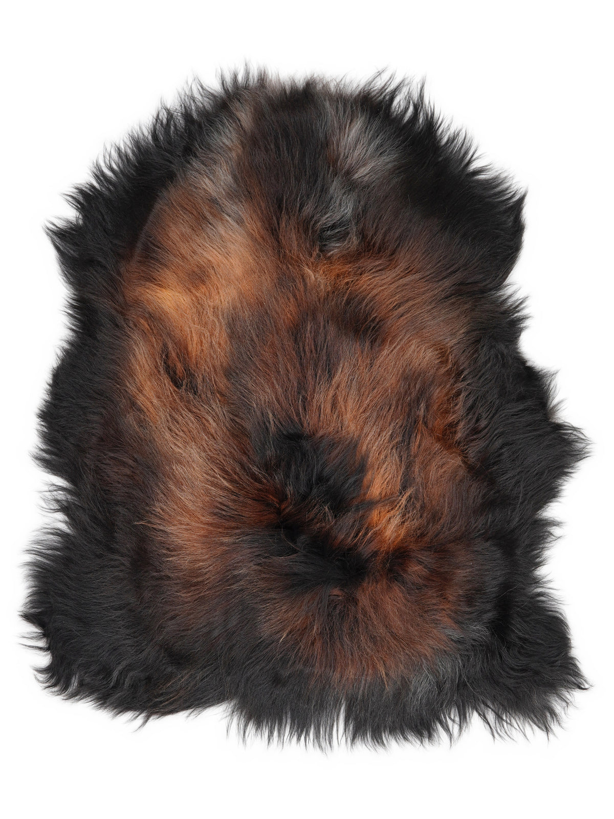 Icelandic multicolour sheepskin rug of about 110 × 80 cm, seen from above: the exact sheepskin you receive