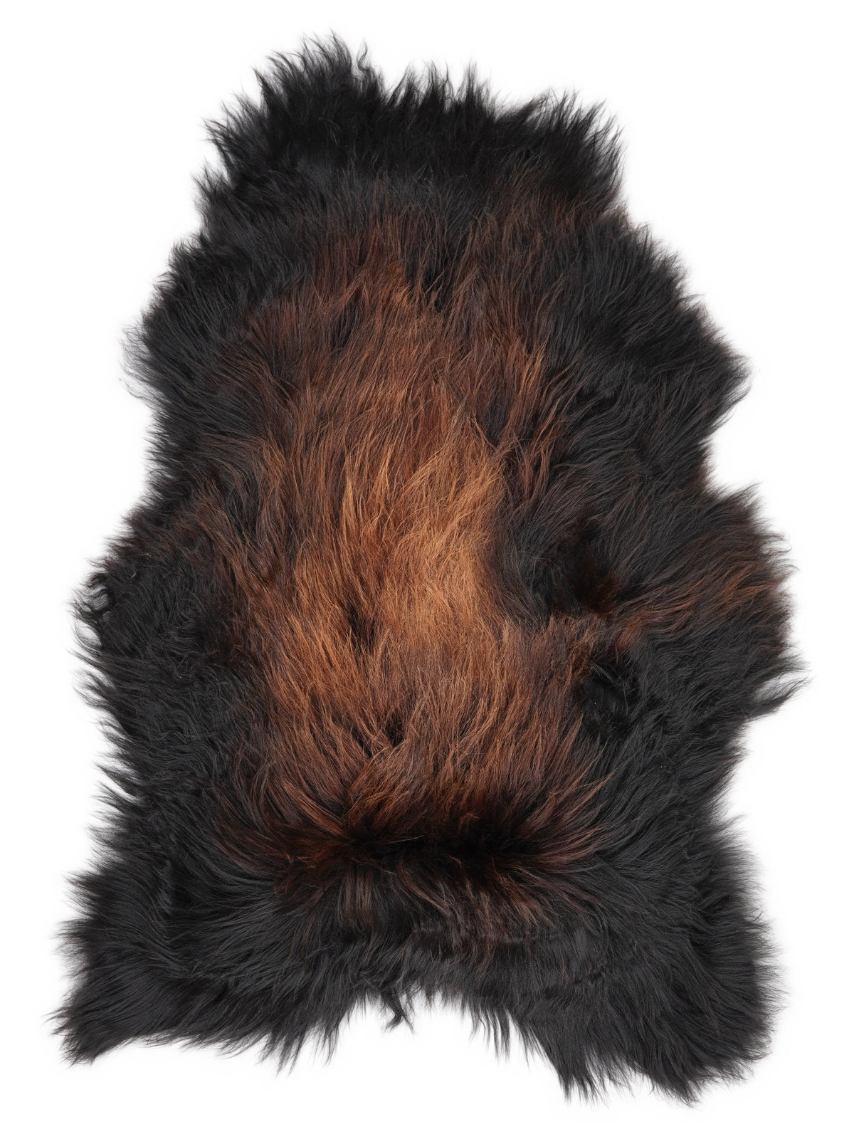 Icelandic multicolour sheepskin rug of about 120 × 75 cm, seen from above: the exact sheepskin you receive