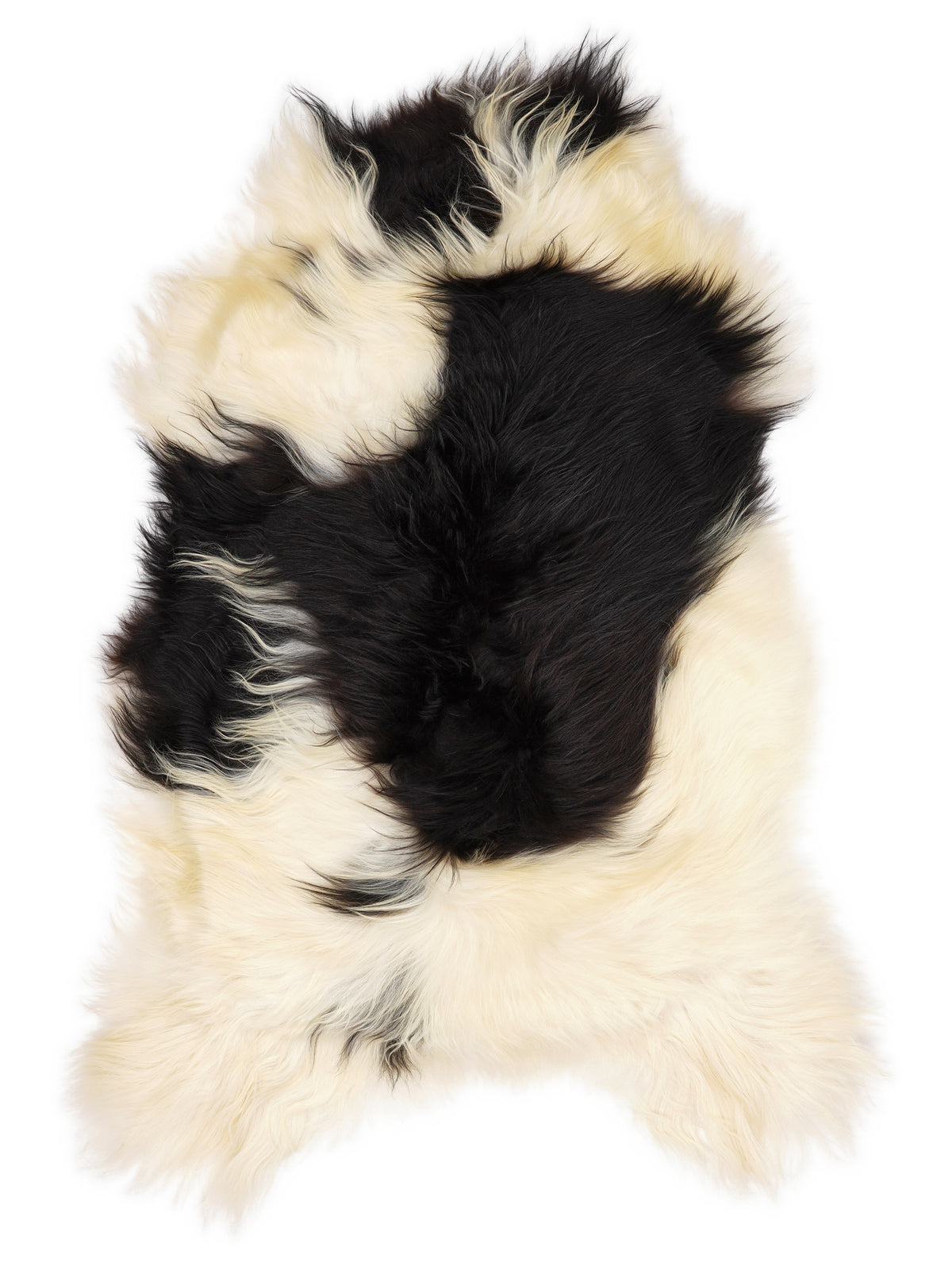 Icelandic multicolour sheepskin rug of about 120 × 75 cm, seen from above: the exact sheepskin you receive