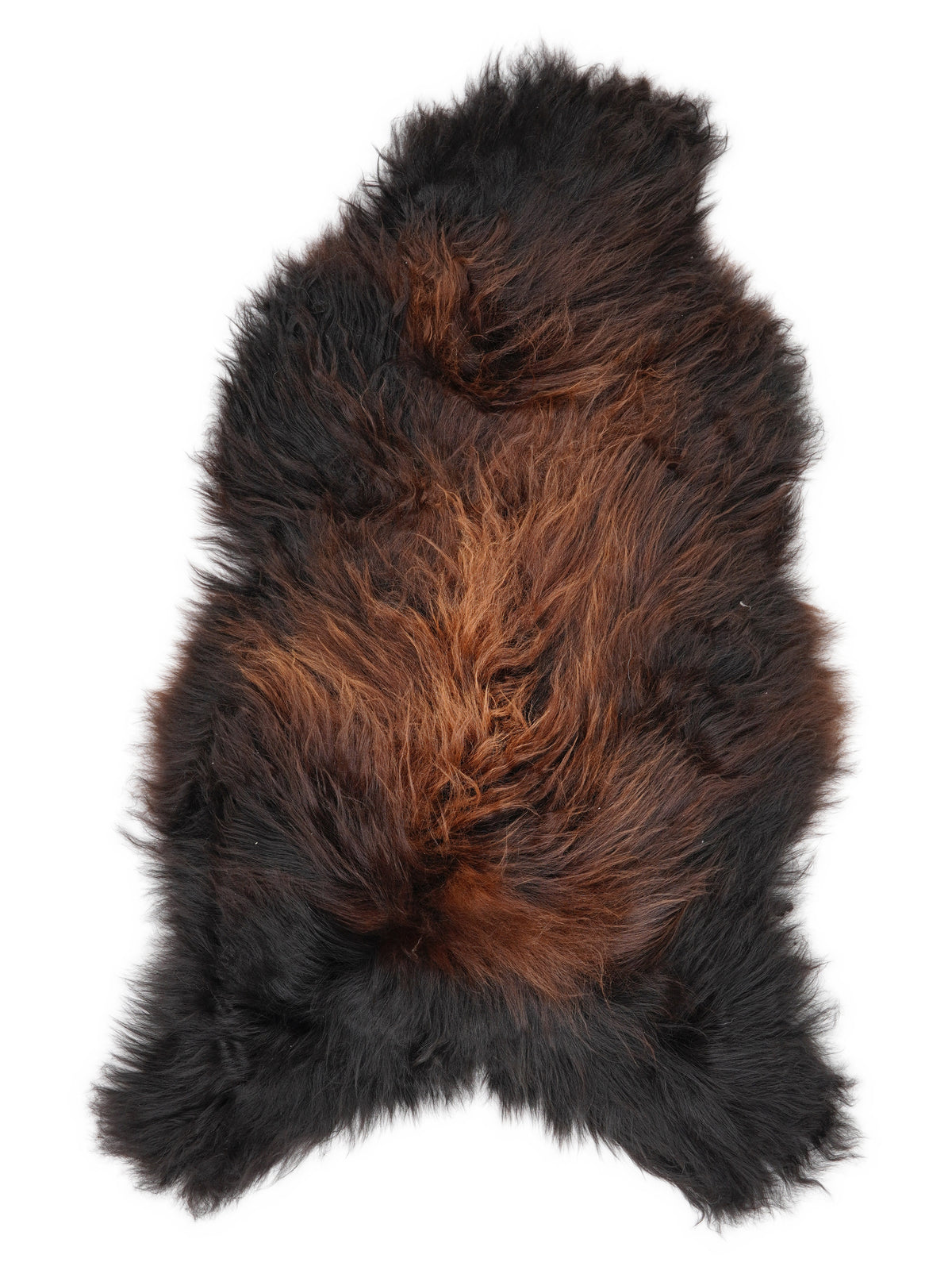 Icelandic multicolour sheepskin rug of about 120 × 70 cm, seen from above: the exact sheepskin you receive
