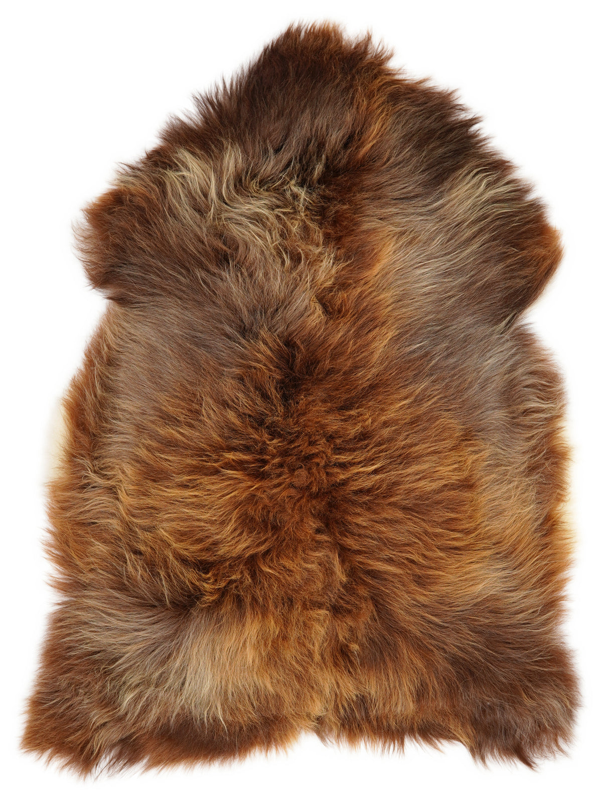Icelandic multicolour sheepskin rug of about 120 × 80 cm, seen from above: the exact sheepskin you receive