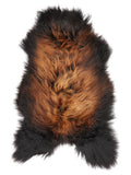 Icelandic multicolour sheepskin rug of about 120 × 65 cm, seen from above: the exact sheepskin you receive