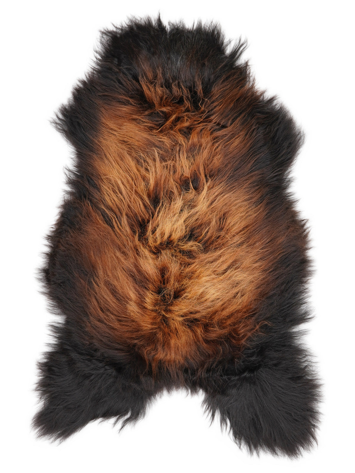 Icelandic multicolour sheepskin rug of about 120 × 65 cm, seen from above: the exact sheepskin you receive