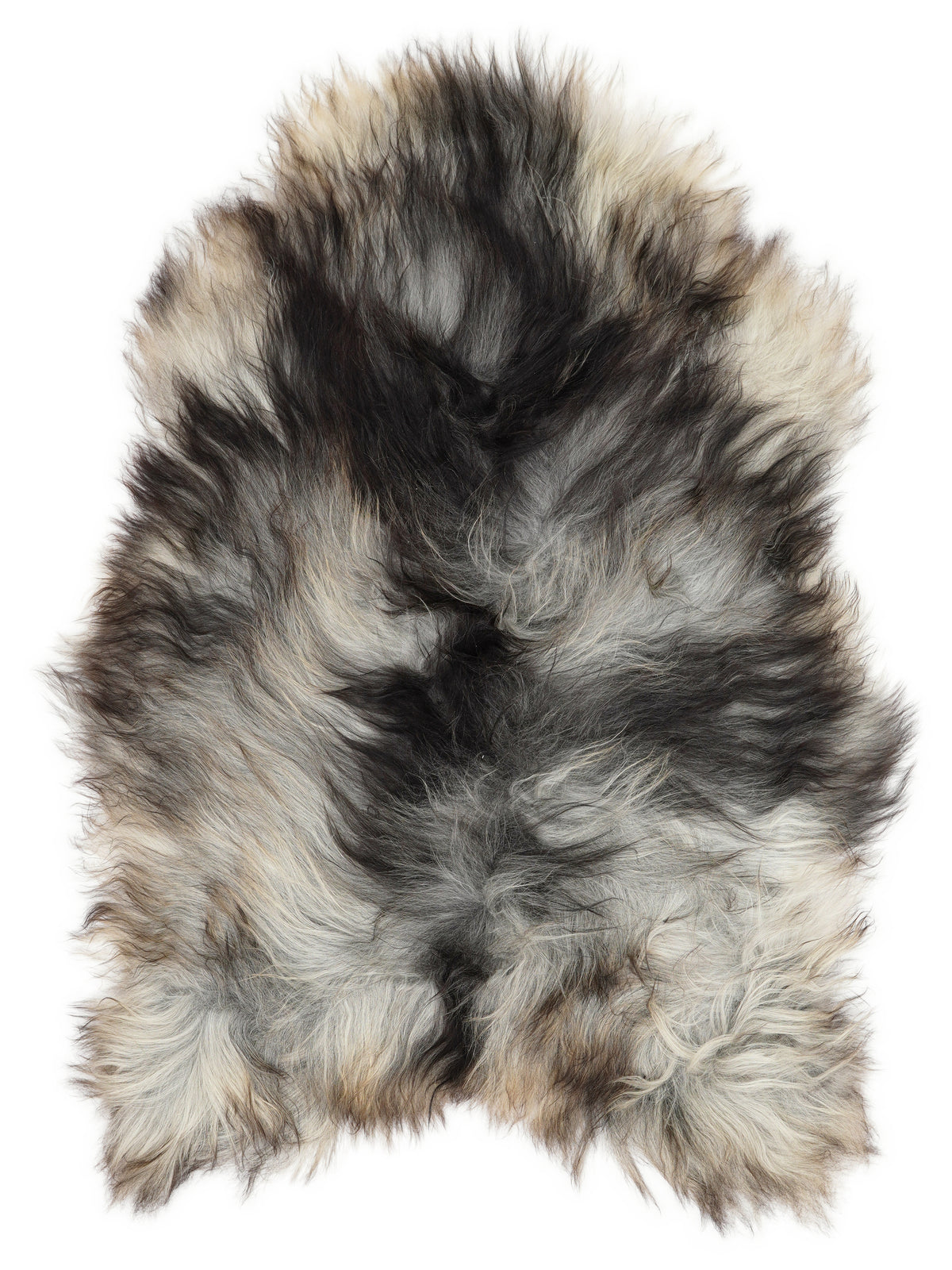 Grey Icelandic sheepskin rug of about 120 × 80 cm, seen from above: the exact sheepskin you receive