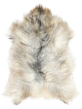 Grey Icelandic sheepskin rug of about 120 × 75 cm, seen from above: the exact sheepskin you receive