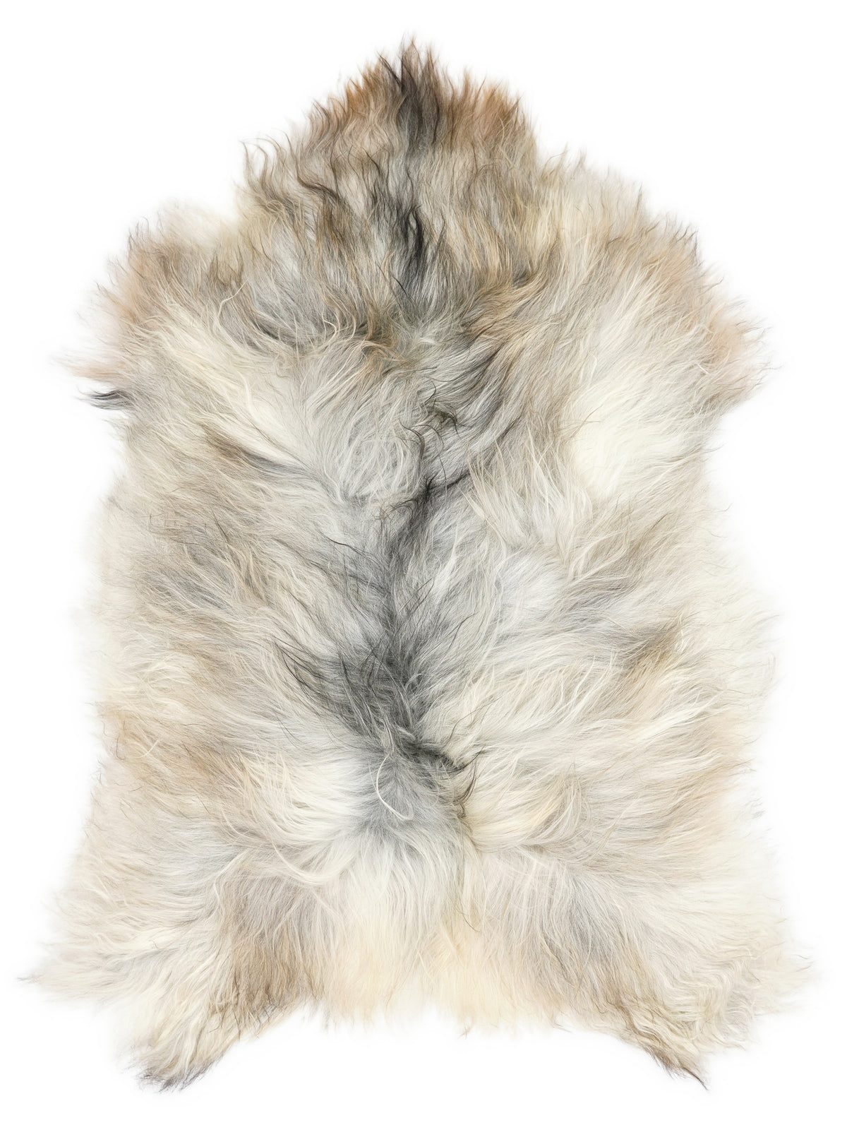 Grey Icelandic sheepskin rug of about 120 × 75 cm, seen from above: the exact sheepskin you receive