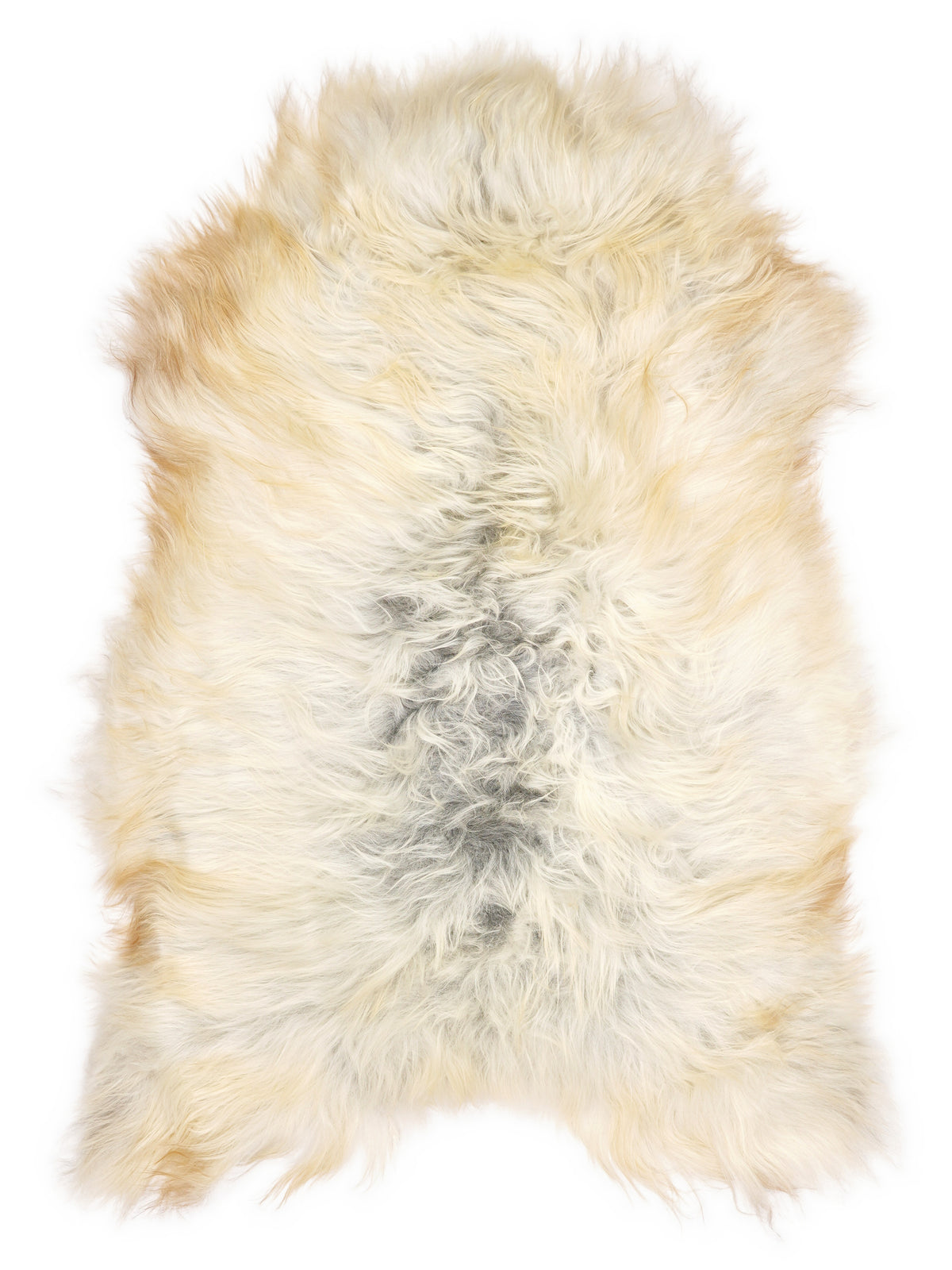 Grey Icelandic sheepskin rug of about 110 × 70 cm, seen from above: the exact sheepskin you receive