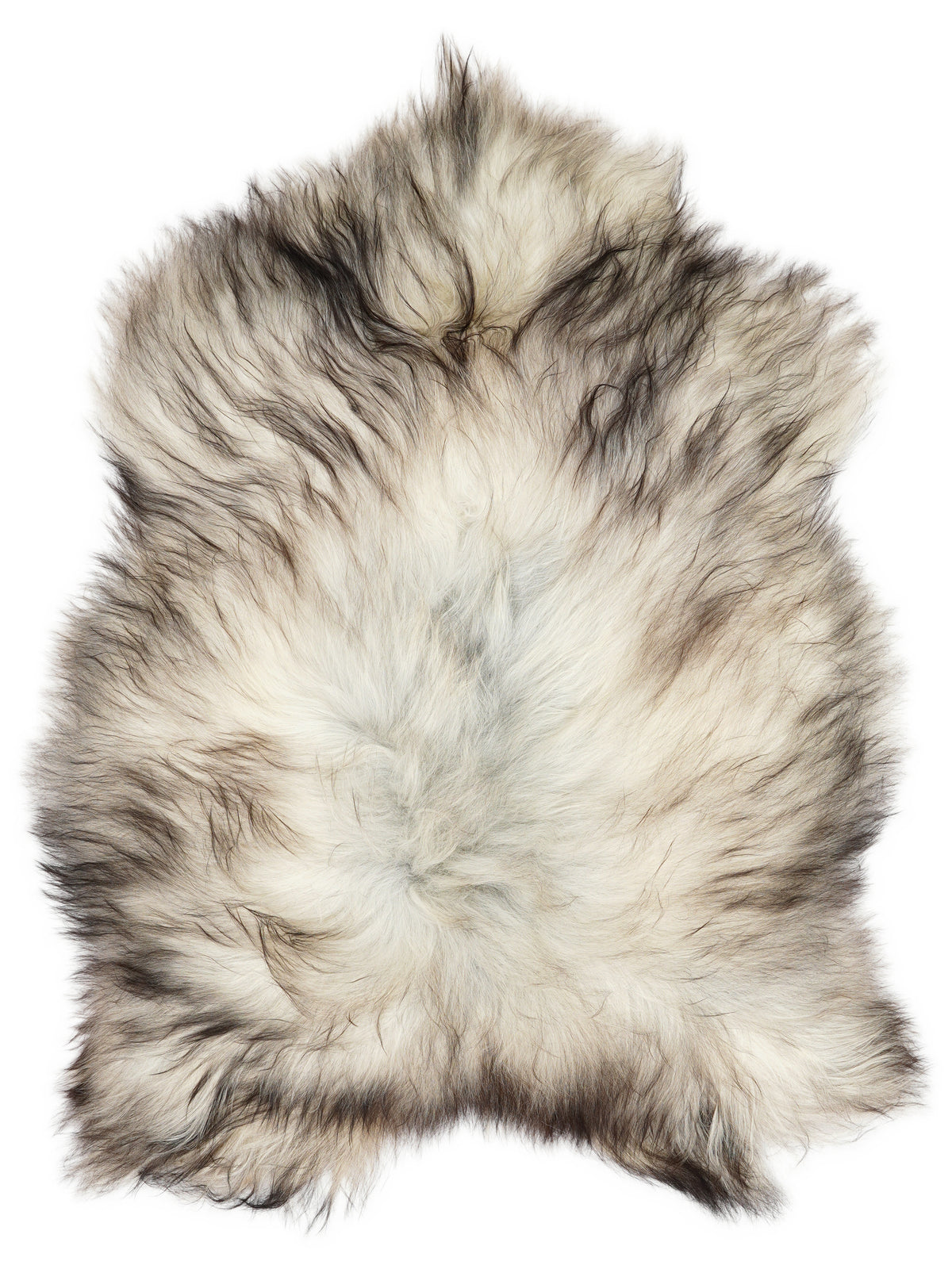 Grey Icelandic sheepskin rug of about 115 × 85 cm, seen from above: the exact sheepskin you receive