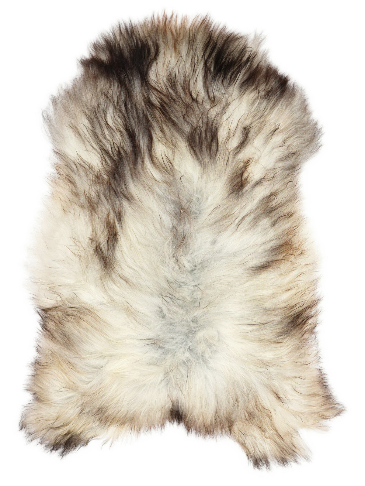 Grey Icelandic sheepskin rug of about 120 × 80 cm, seen from above: the exact sheepskin you receive