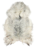 Grey Icelandic sheepskin rug of about 120 × 75 cm, seen from above: the exact sheepskin you receive