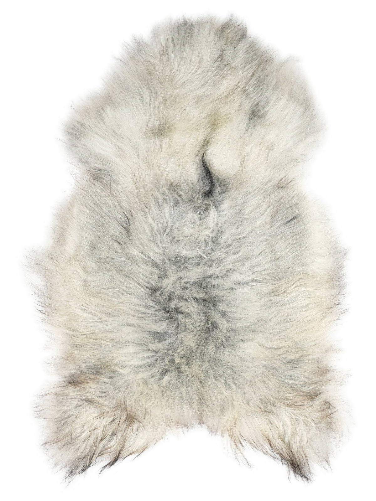 Grey Icelandic sheepskin rug of about 120 × 75 cm, seen from above: the exact sheepskin you receive