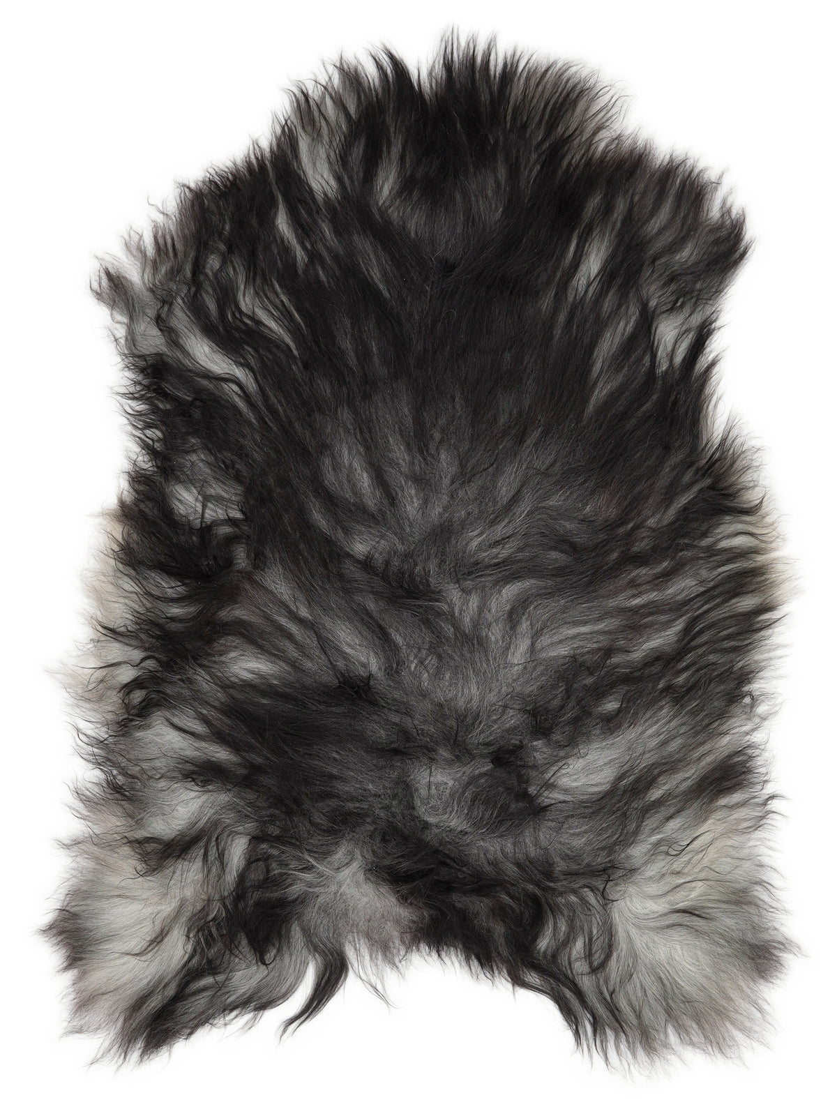 Grey Icelandic sheepskin rug of about 120 × 80 cm, seen from above: the exact sheepskin you receive