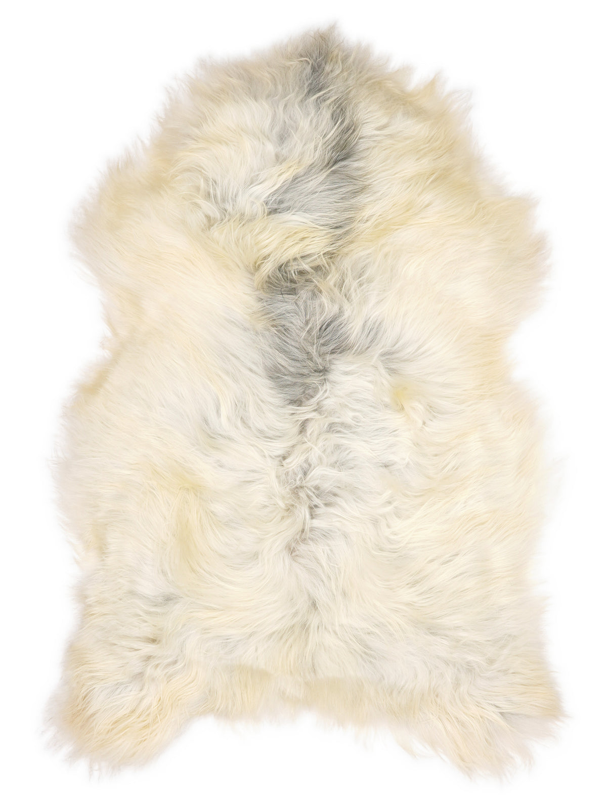 Grey Icelandic sheepskin rug of about 120 × 75 cm, seen from above: the exact sheepskin you receive
