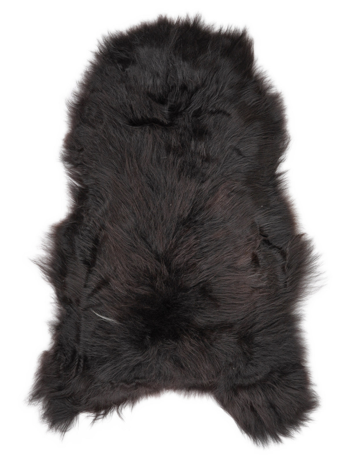 Icelandic multicolour sheepskin rug of about 130 × 75 cm, seen from above: the exact sheepskin you receive