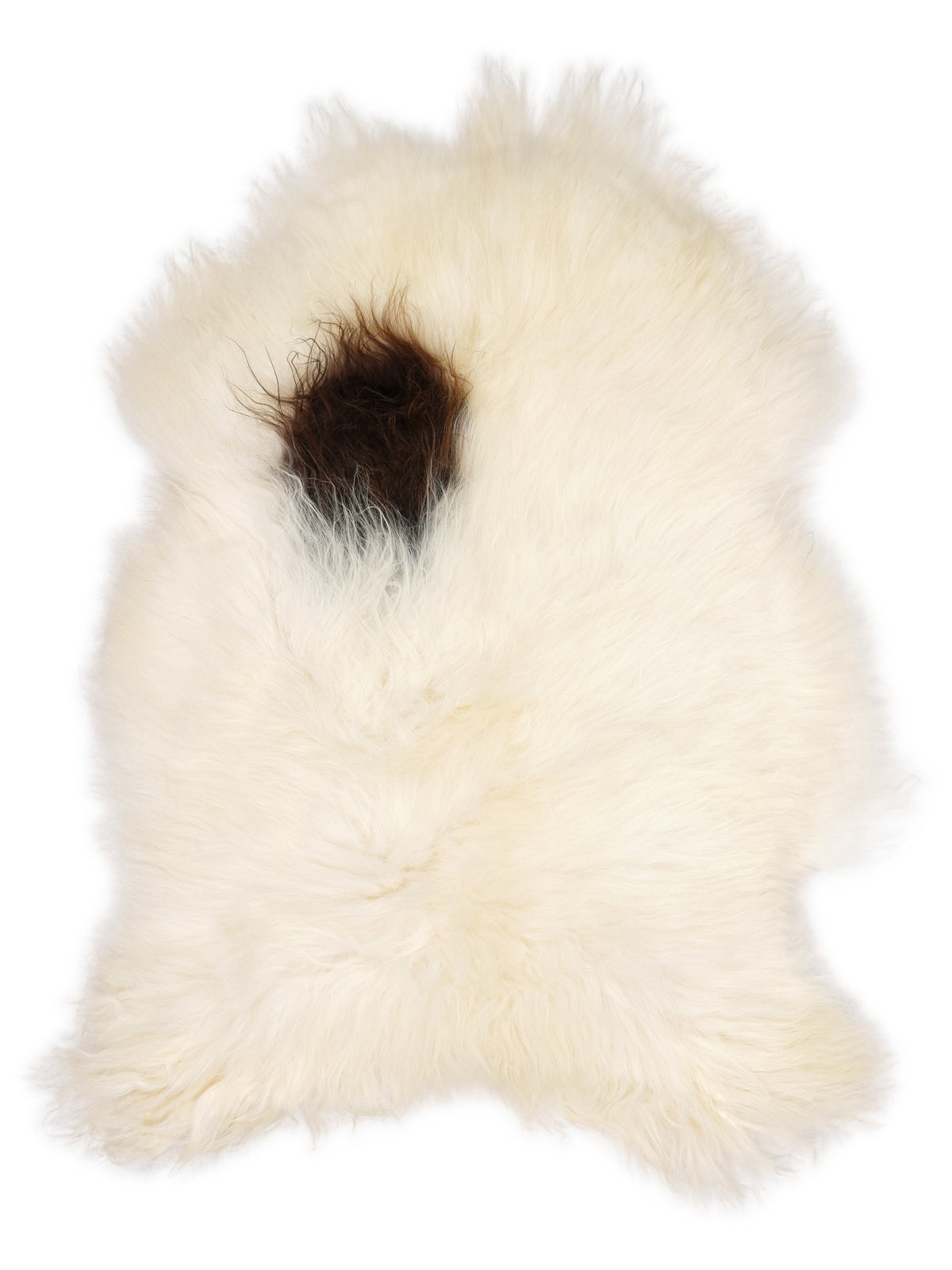 Icelandic multicolour sheepskin rug of about 110 × 75 cm, seen from above: the exact sheepskin you receive