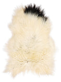 Icelandic multicolour sheepskin rug of about 110 × 80 cm, seen from above: the exact sheepskin you receive