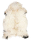 Icelandic multicolour sheepskin rug of about 120 × 75 cm, seen from above: the exact sheepskin you receive
