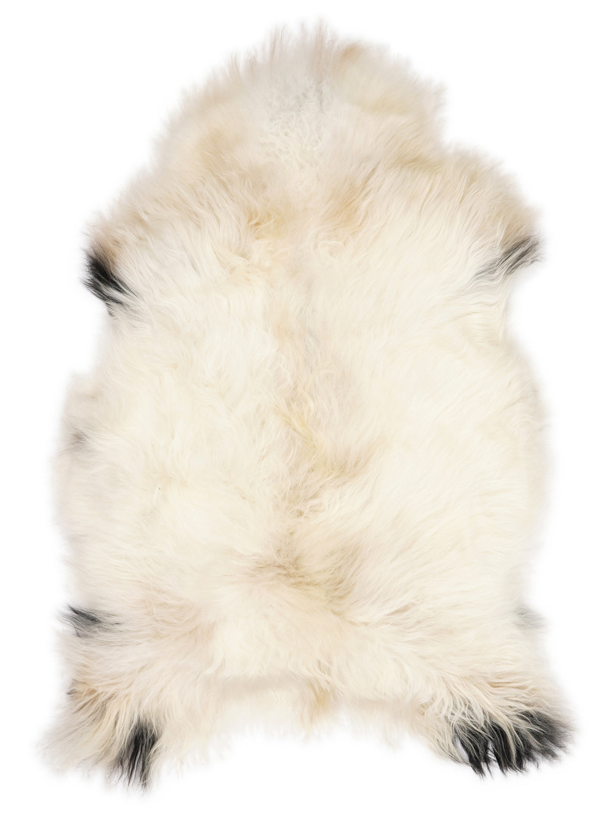 Icelandic multicolour sheepskin rug of about 120 × 75 cm, seen from above: the exact sheepskin you receive