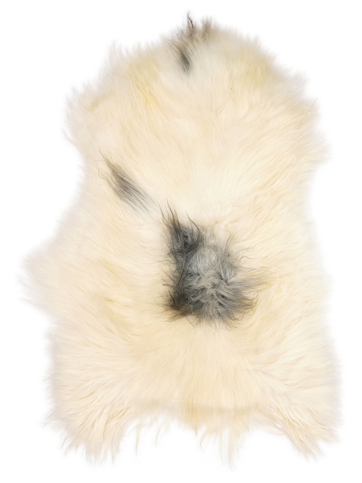 Icelandic multicolour sheepskin rug of about 120 × 80 cm, seen from above: the exact sheepskin you receive