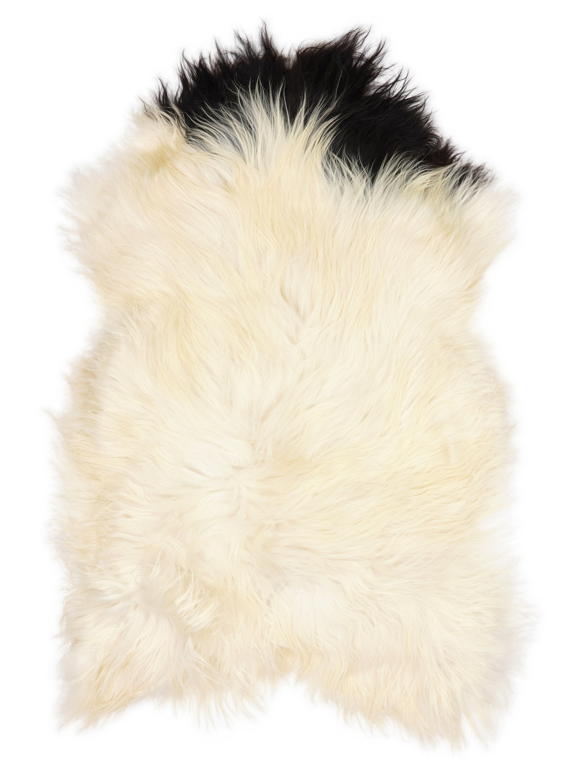 Icelandic multicolour sheepskin rug of about 120 × 75 cm, seen from above: the exact sheepskin you receive