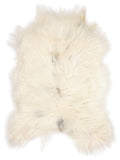Icelandic multicolour sheepskin rug of about 110 × 80 cm, seen from above: the exact sheepskin you receive
