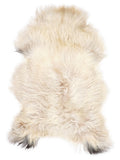 Icelandic multicolour sheepskin rug of about 120 × 75 cm, seen from above: the exact sheepskin you receive