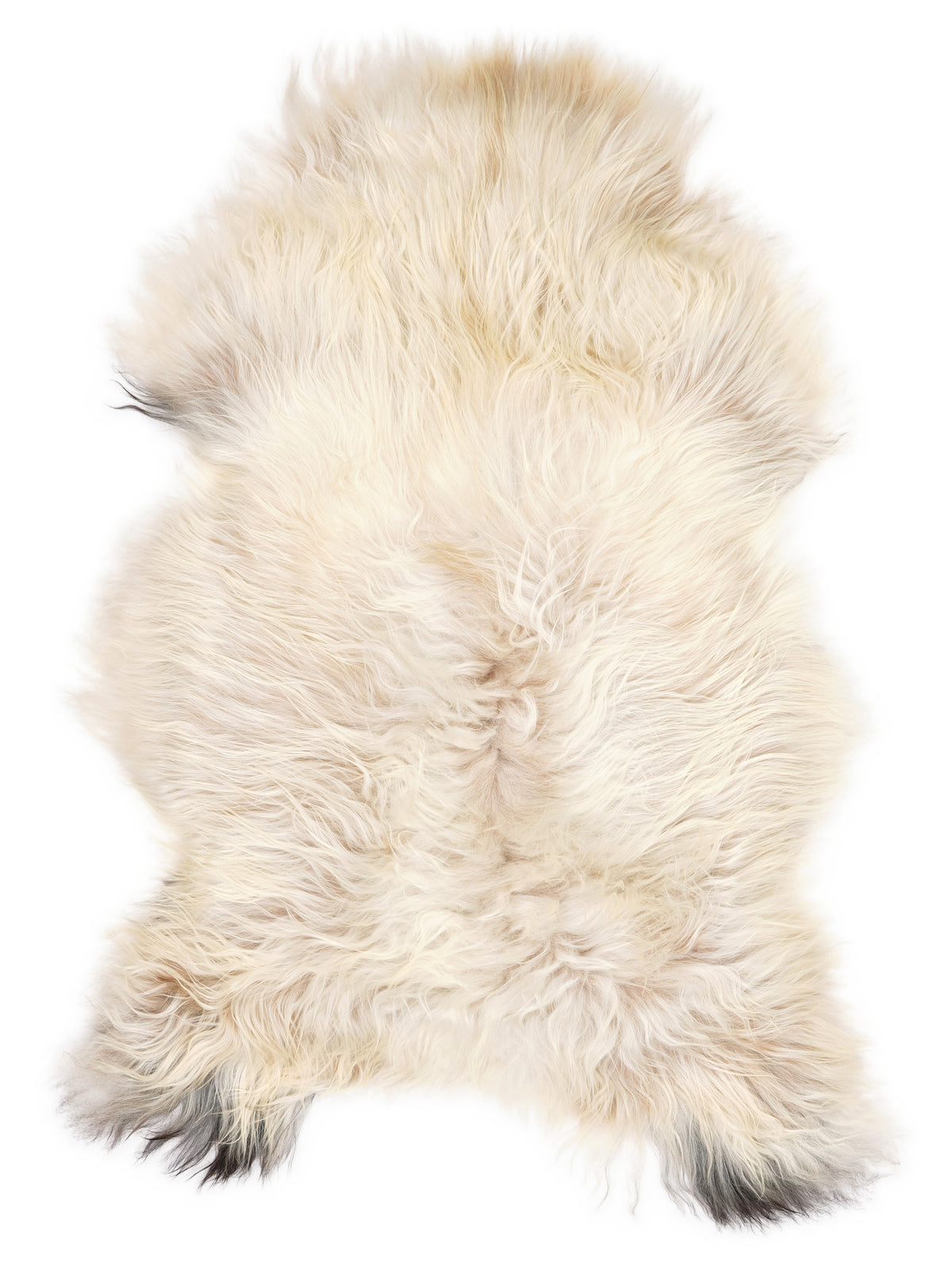 Icelandic multicolour sheepskin rug of about 120 × 75 cm, seen from above: the exact sheepskin you receive