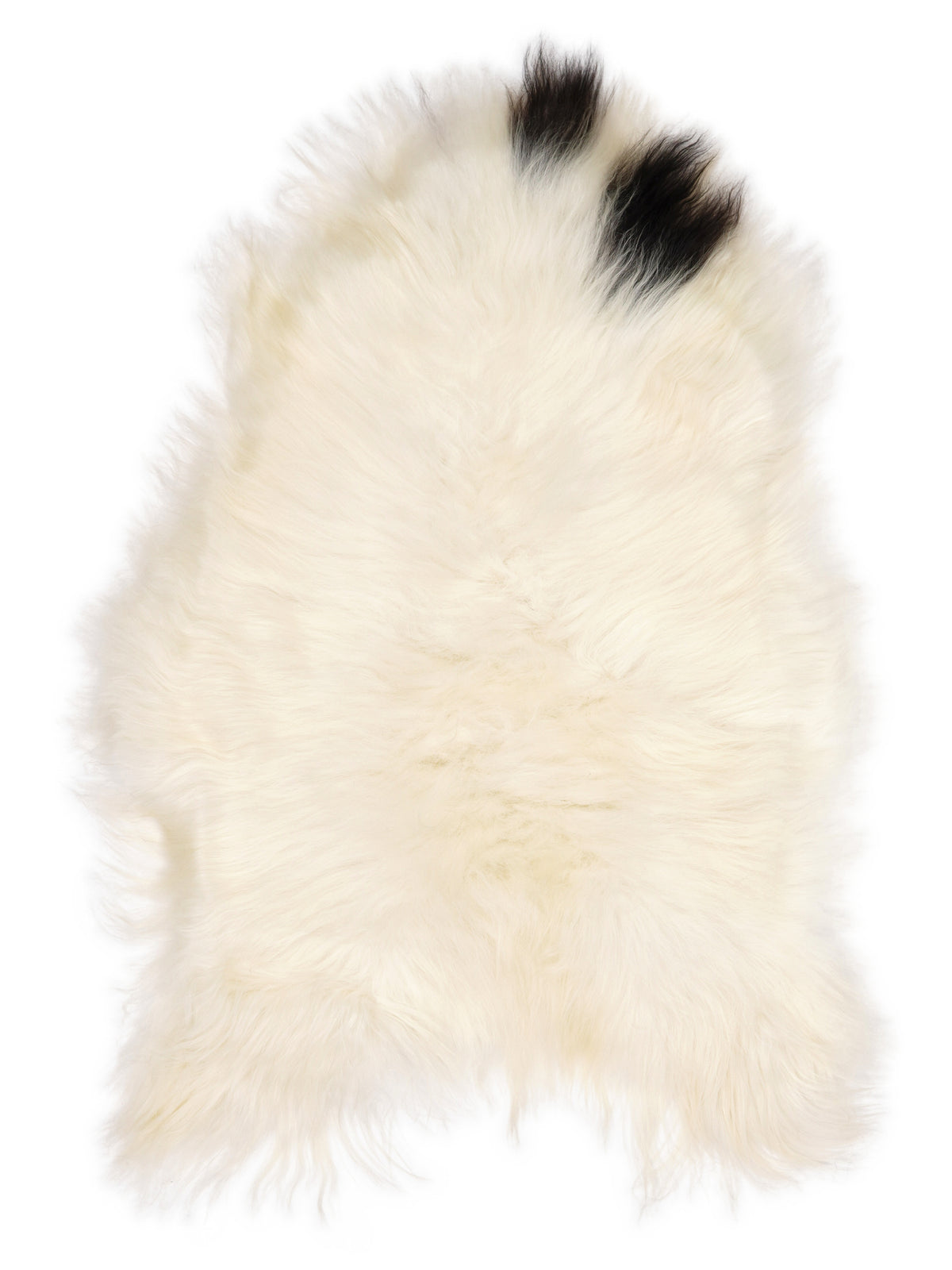 Icelandic multicolour sheepskin rug of about 110 × 75 cm, seen from above: the exact sheepskin you receive