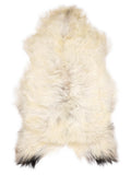 Icelandic multicolour sheepskin rug of about 120 × 75 cm, seen from above: the exact sheepskin you receive