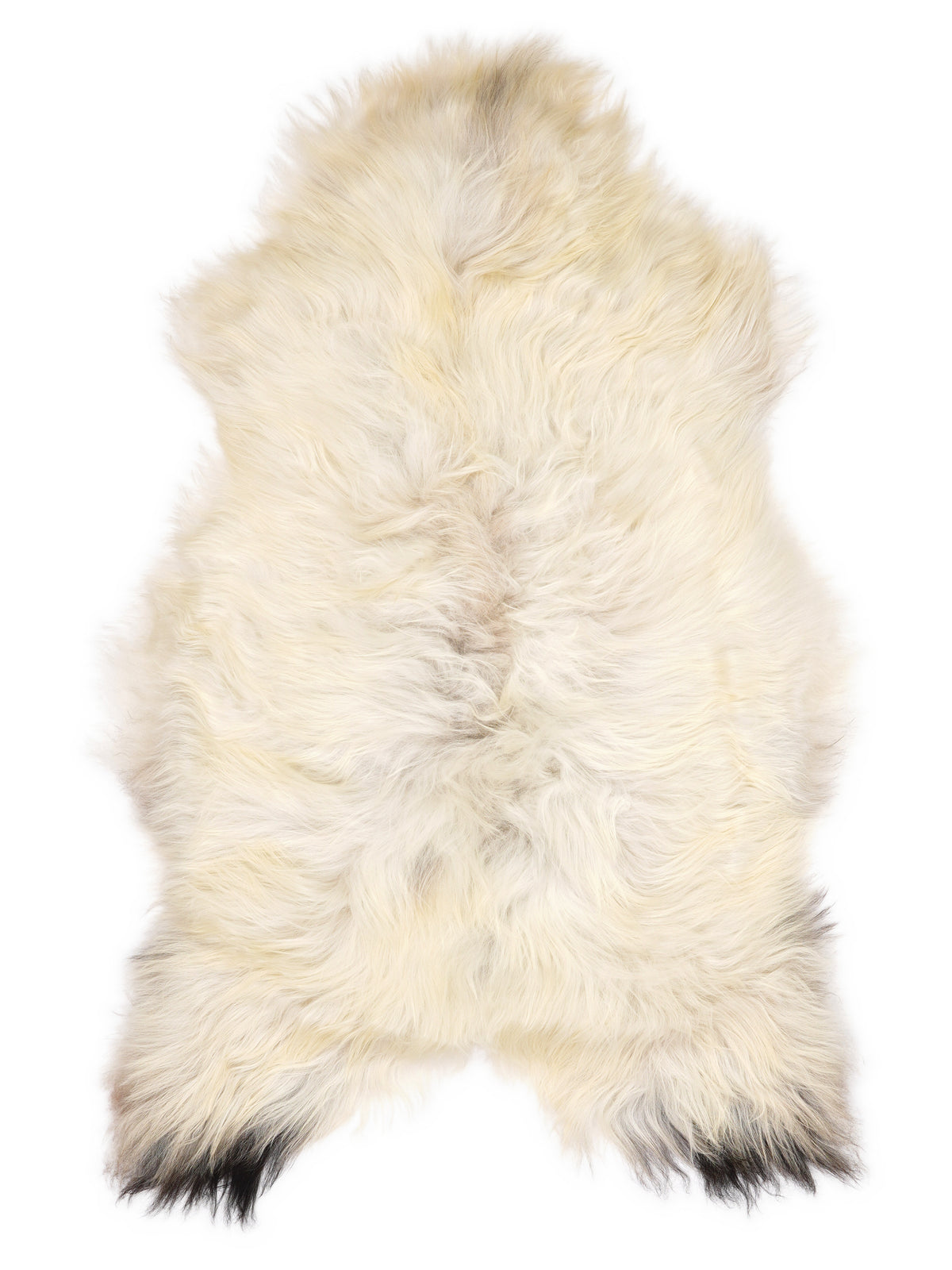 Icelandic multicolour sheepskin rug of about 120 × 75 cm, seen from above: the exact sheepskin you receive